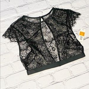 Sam Edelman Lace Bralette Top NWT